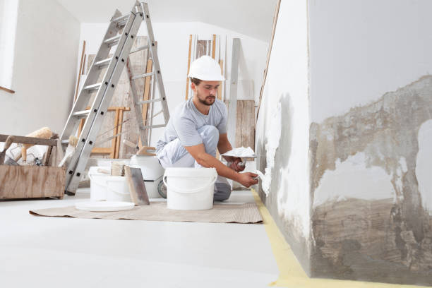 Trusted Upper Montclair, NJ Mold Removal Experts